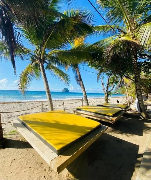 Studio Sunrise Vue Sur Le Rocher Du Diamant A 1 Min De La Plage Apartment Le Diamant